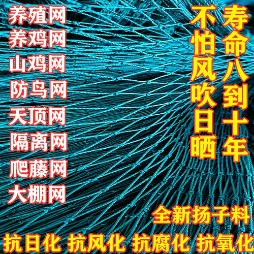 7.5 Юань бесплатная доставка куриная сеть Топ сеть Повышение куриной сети блокируйте куриные сети.