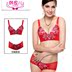 Han Jiaer Thêu mùa xuân và mùa hè Sexy Deep V Thu thập đồ lót có thể điều chỉnh Ladies Bra Set Dày Cup T1032 áo lót  Bộ đồ lót