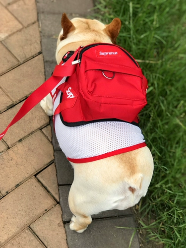 Рюкзак собаки Pet tide Dog из рюкзака из рюкзака, Тедди сражается с дай -ду -доу золотым мао Сюенари из школьной сумки