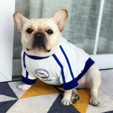 Оригинальная индивидуальная домашняя собака Tata осень и зимняя белая толстовка плюшевая битва Corgi одежда волна волна