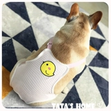 Физиологические брюки для домашних животных, домашние животные мужчины для мента, средняя средняя большие собаки брюки брюки брюки менструальная подделка