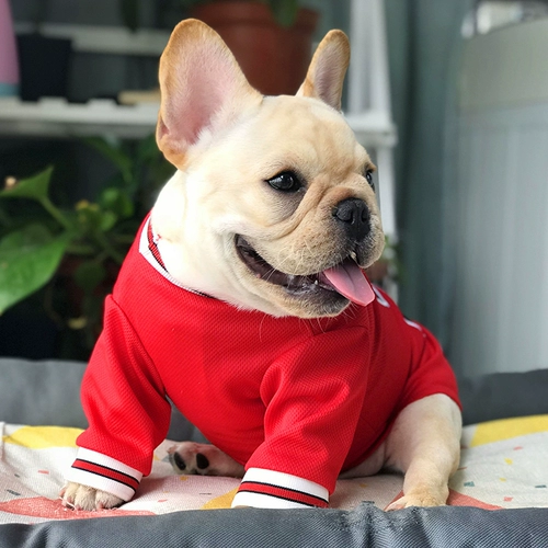 Осенняя футбольная форма, дышащий мяч, домашний питомец