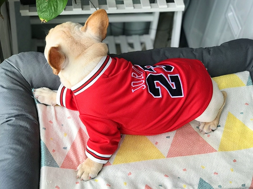 Осенняя футбольная форма, дышащий мяч, домашний питомец