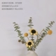 (За исключением грубой глиняной вазы) Little Sun Eu Gali