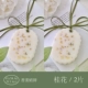 (2 таблетки-фрагрантные восковые таблетки) Osmanthus+цветок Osmanthus