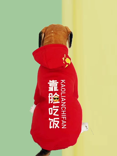 Большая собака Золотая накачанная хриплая средняя средняя крупная одежда для собак и бархат осенью и зимой