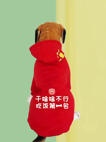 Большая собака Золотая накачанная хриплая средняя средняя крупная одежда для собак и бархат осенью и зимой