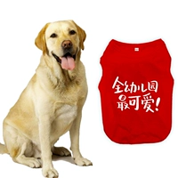 Детский сад