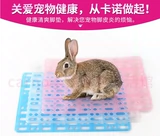 Carno Kano Pet Rabbit Cushion Put/Dutch Pig Totoro Anti -Bite Black Bood Board Caver Fave
