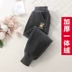 Темно -сероватый встроенный бархат [кролик]
