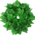 Mô phỏng cây leo trang trí mây giả hoa nho ống hoa nho cây xanh trần cây lá nhựa nhựa lá xanh lá - Hoa nhân tạo / Cây / Trái cây Hoa nhân tạo / Cây / Trái cây