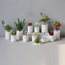 бонсай Ветра Инь скандинавской горшечных модули