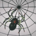 Đạo cụ Halloween Lễ hội ma Bar KTV Cảnh trang trí Mô phỏng Nhựa Đen Spider Web Mặt dây chuyền Phụ kiện - Sản phẩm Đảng / Magic / Hiệu suất Sản phẩm Đảng / Magic / Hiệu suất