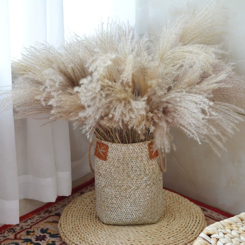 Seago Woven Hand -Pword Dist -Made Clother Basket Bolte Flower Bottle с ушами, кроличьи хвостовые тростники, не -виновые редакторы