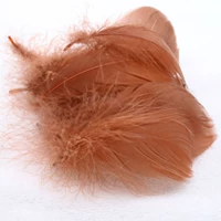 Темно -коричневый дрифтинг 100 корней