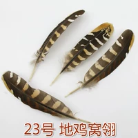 Десять корней куриного гнезда № 23