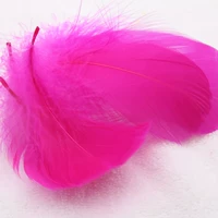 100 роз в розовой красной