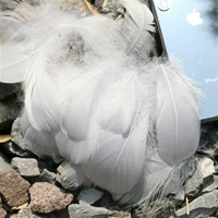 Синий светло -серый поплавок 100 корней