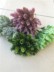 Mori girl handmade DIY chất liệu thịt nhân tạo hoa giả mũ phụ kiện tóc chụp hoa bia cỏ dứa - Hoa nhân tạo / Cây / Trái cây hoa giả đẹp Hoa nhân tạo / Cây / Trái cây