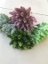 Mori girl handmade DIY chất liệu thịt nhân tạo hoa giả mũ phụ kiện tóc chụp hoa bia cỏ dứa - Hoa nhân tạo / Cây / Trái cây lan giả Hoa nhân tạo / Cây / Trái cây