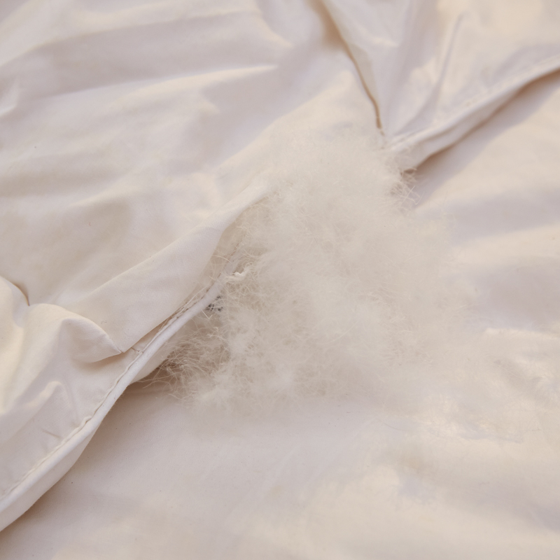 正品羽绒被95白鹅绒冬季加厚冬被芯春秋被子单双人白鸭绒_优惠券