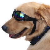 Ветрозащитные модные неоновые солнцезащитные очки, аксессуар