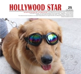 Ветрозащитные модные неоновые солнцезащитные очки, аксессуар