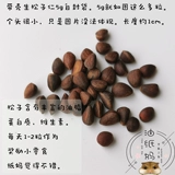 Ослетние бумага Матери Хомять шлифование игрушечную игрушку для сосны сосны цена ① Белое вещество - это кристалл соснового масла