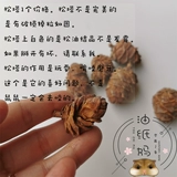 Ослетние бумага Матери Хомять шлифование игрушечную игрушку для сосны сосны цена ① Белое вещество - это кристалл соснового масла