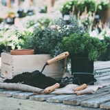 Американский бейбанг Barebones Wood Mark Bamboo Садоводная лопата с увлажняющим средством