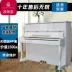 Đức Odeya đàn piano thẳng đứng hoàn toàn mới dành cho người lớn 88 người mới bắt đầu học đàn piano 123 - dương cầm