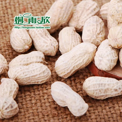 [Tong yuxin_guixiang Peanut 205g] 4 куска бесплатных закусок, вареное соленое арахисовое арахисовое арахис