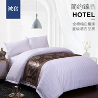 Khách sạn đặc biệt chăn bông bao gồm chăn bông dày chăn bông trắng lõi tùy chỉnh bán buôn - Quilt Covers 	chăn phao hàn quốc