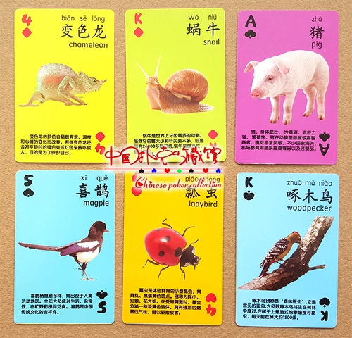 Карточки, большие игральные карты для школьников, раннее развитие, обучение