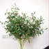 Lá đơn lá ô liu lá cây bạch đàn lá phong lá cây saponin mô phỏng cây lá xanh - Hoa nhân tạo / Cây / Trái cây hoa đào giả Hoa nhân tạo / Cây / Trái cây