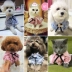 Quần áo chó mùa xuân và mùa hè Teddy VIP Bomi hơn gấu chó nhỏ quần áo thú cưng mèo chó sọc áo - Quần áo & phụ kiện thú cưng