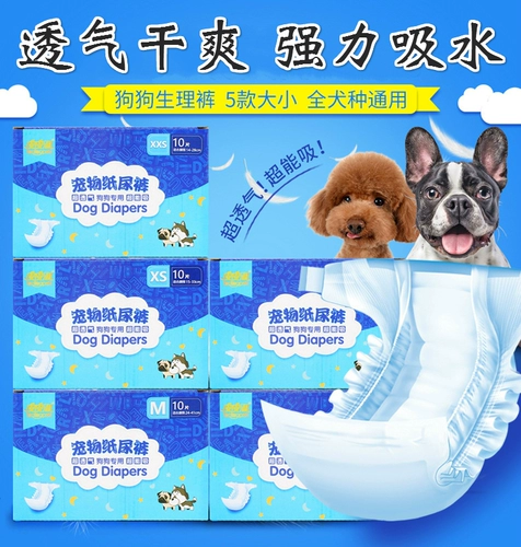 Физиологичные штаны, гигиеническая прокладка, безопасное нижнее белье