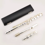 Слева -Специальный флейт -инструмент флейты Специальный прибор с 16 -отверстий с серебристым серебряным серебряным серебром серебра
