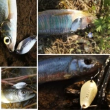 Странство на низовом положении Luya nbk типа типа типа Willow -Leaf Horse Bait Fishing Tillers Белая полоса 2,12,6345 грамм фальшивой приманки золотого цвета