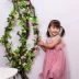 Mô phỏng hoa hồng treo tường hoa giả mây điều hòa không khí ống trang trí trong nhà trần nhựa hoa nho - Hoa nhân tạo / Cây / Trái cây hoa giả treo tường Hoa nhân tạo / Cây / Trái cây