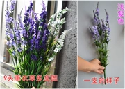 Hoa mô phỏng hoa oải hương trang trí hoa giả hoa hoa châu Âu Provence mô phỏng hoa oải hương 9 - Hoa nhân tạo / Cây / Trái cây