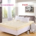 Ba chiều nệm 1.5 m1.8 m gạo giường tatami gấp non-slip giường đôi đơn scorpion ký túc xá sinh viên mat