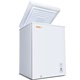 XINGX Stars BD BC-90E Tủ đông gia đình Mini Freezer Nhiệt độ duy nhất Một phòng Freezer Tủ đông - Tủ đông tủ đông alaska Tủ đông