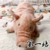 Thâm Quyến IKEA mua trong nước Kono lãi Zhizhi vải búp bê lợn lớn đồ chơi sang trọng gấu bông giá rẻ Đồ chơi mềm