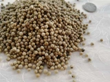 Hainan White Pepper 500G Новые грузовые ноги сухой перец аутентичный розовый, розовый, розовый