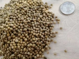 Hainan White Pepper 500G Новые грузовые ноги сухой перец аутентичный розовый, розовый, розовый