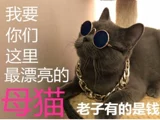 Солнцезащитные очки для кошек, собачьи домашние очки, любовь к ожерелью тирана плюшевые украшения кошки