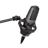 Alctron/Ekchuang Beta3 Большой вокальные фильмы профессиональная запись мощности Microbei Computer Live K Song Microphone