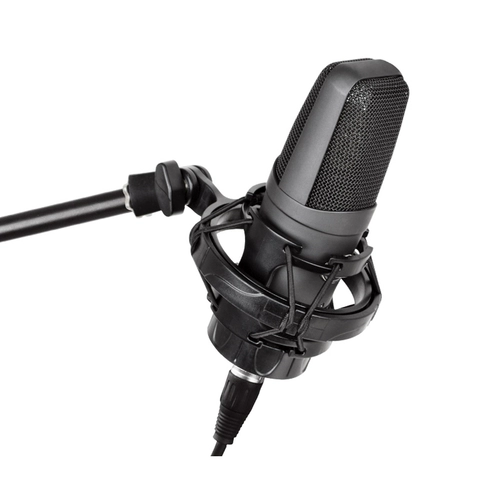 Alctron/Ekchuang Beta3 Большой вокальные фильмы профессиональная запись мощности Microbei Computer Live K Song Microphone