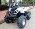 Xe mô tô điện mới ATV 60V1000W ắc quy xe địa hình núi bốn bánh lái xe máy xe may tre em Xe đạp quad